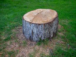 Plumas Lake, CA Tree Care Company