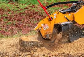 Best Lawn Watering Services  in Plumas Lake, CA