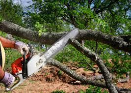 Mulching Services in Plumas Lake, CA